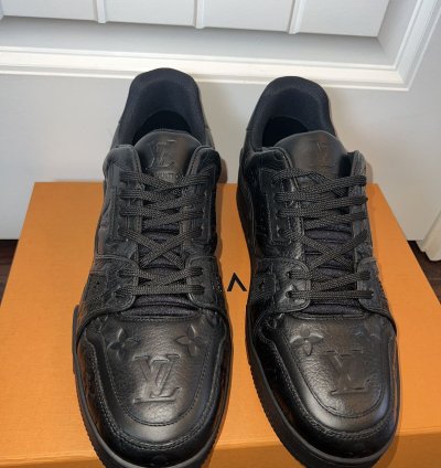 Louis Vuitton Trainer Leather