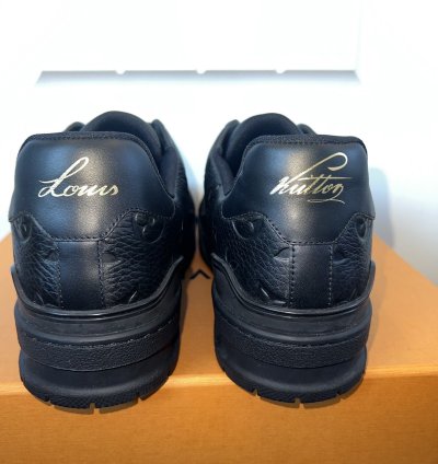 Louis Vuitton Trainer Leather