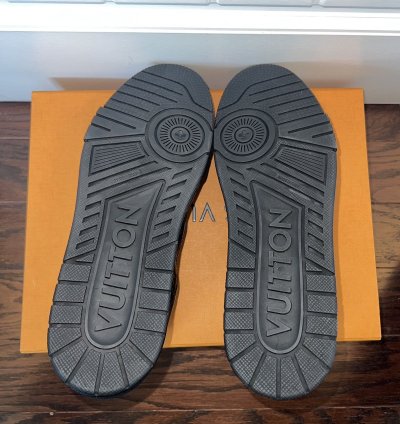 Louis Vuitton Trainer Leather