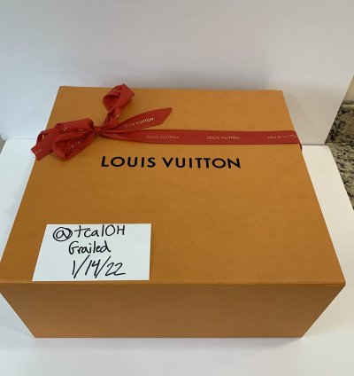Louis Vuitton Trainer Low