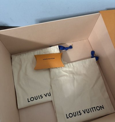 Louis Vuitton Trainer Monogram Ebene