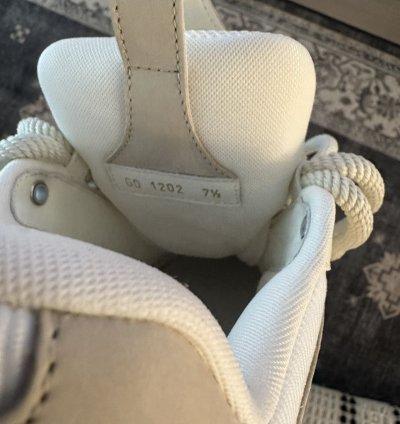 Louis Vuitton Trainer Skate Sneakers