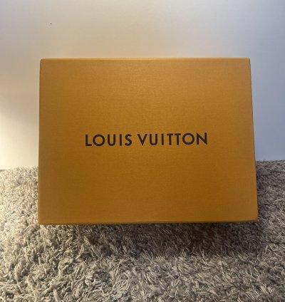 Louis Vuitton Trainers White