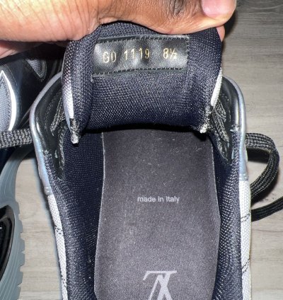 Lv Chunky Runner Sneaker