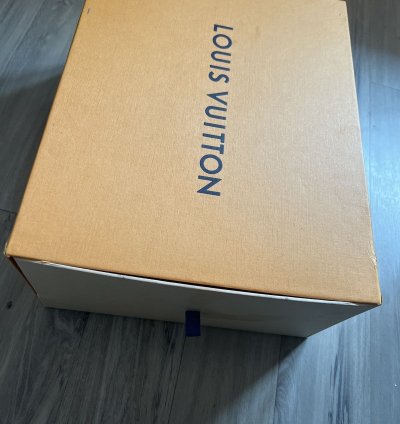 Lv Chunky Runner Sneaker