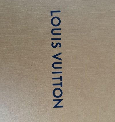 Lv Skate Shoes