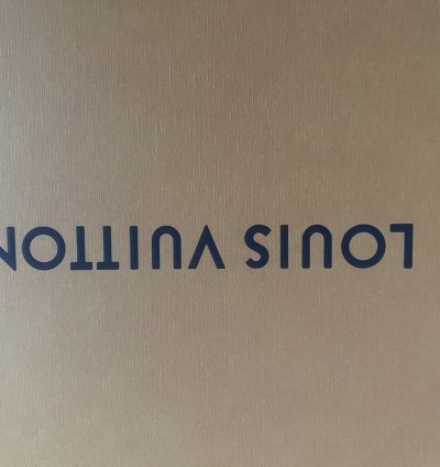 Lv Skate Sneakers