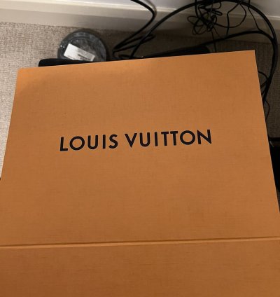 Mens Louis Vuitton Sneaker