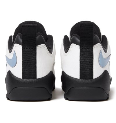 Nike Sb Darwin Low