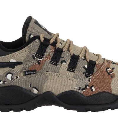Nike Sb Darwin Low Supreme Desert Camo