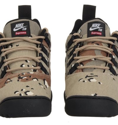 Nike Sb Darwin Low Supreme Desert Camo