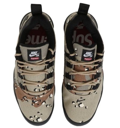 Nike Sb Darwin Low Supreme Desert Camo