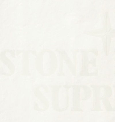 Mona Lisa Shell Jacket 2022 Supreme Stone Island