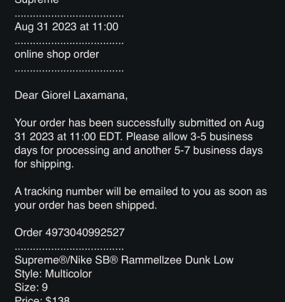 Nike Sb Dunk Low Rammellzee