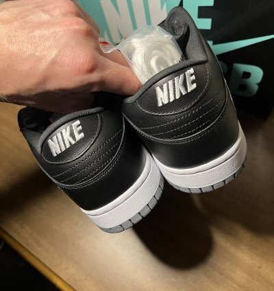 Nike Sb Dunk Low Silver Jewel