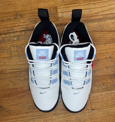 Nike Sb Supreme Darwin Low