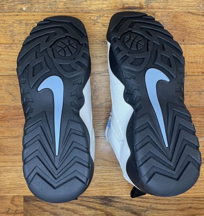 Nike Sb Supreme Darwin Low