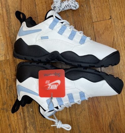 Nike Sb Supreme Darwin Low