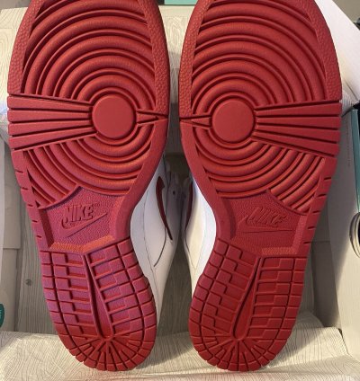 Nike Sb Supreme Dunk Low Jewel Swoosh
