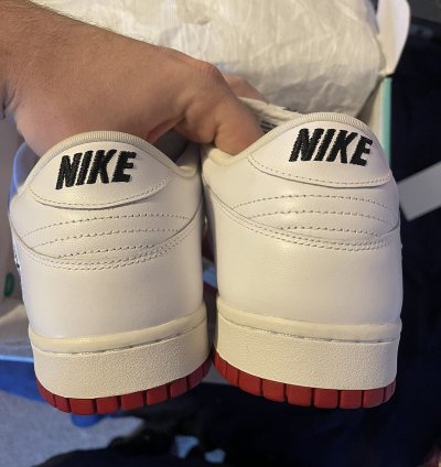 Nike Sb Supreme Dunk Low Jewel Swoosh