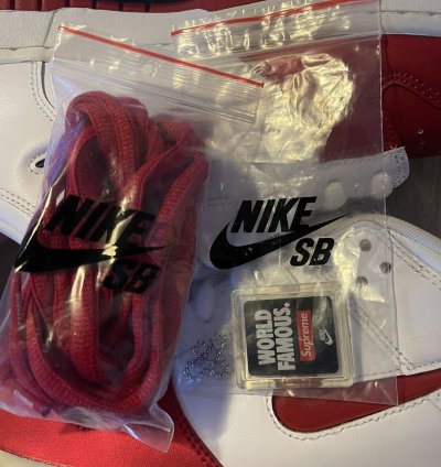 Nike Sb Supreme Dunk Low Jewel Swoosh