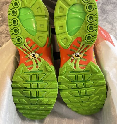 Nike Supreme Air Max Plus Mean Green