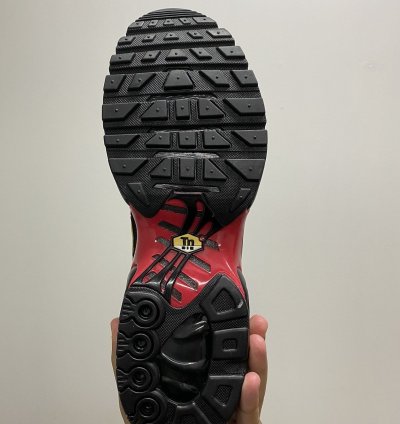 Nike Supreme Air Max Plus Tn