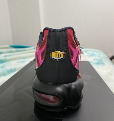 Nike Supreme Air Max Plus Tn