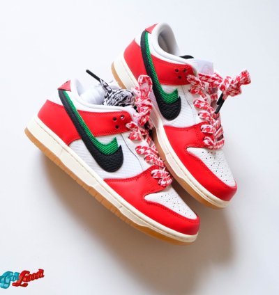Nike Sb Dunk X Frame Skate habibi