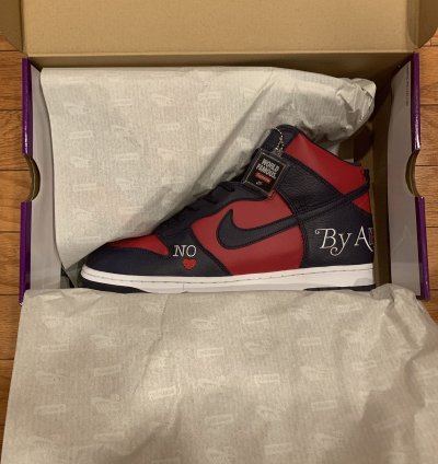 Nike Supreme Dunk High By Any Means