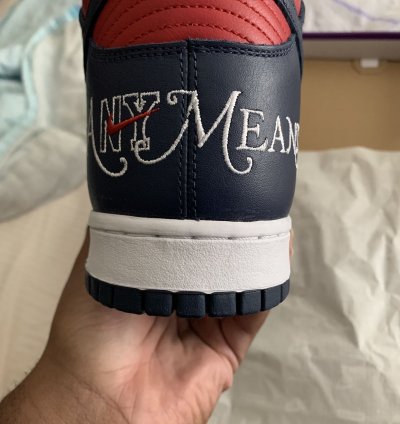 Nike Supreme Dunk High By Any Means