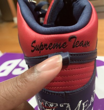 Nike Supreme Dunk High By Any Means