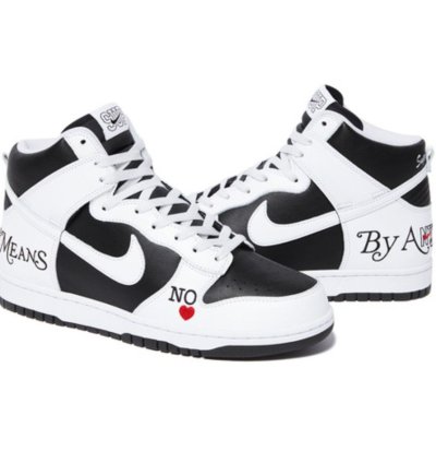 Nike Supreme Sb Dunk High By Any Means Necessary In Hand