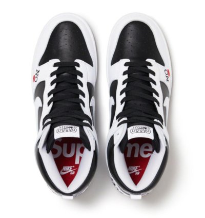 Nike Supreme Sb Dunk High By Any Means Necessary In Hand
