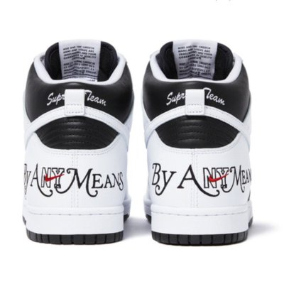 Nike Supreme Sb Dunk High By Any Means Necessary In Hand