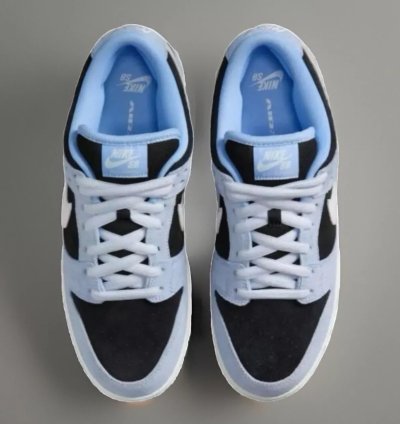 Nike Dunk Sb Low Pro Aluminum Hf3063-400