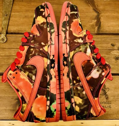 Nike Sb X The Wizard Of Oz Dunk Low Poppy Field Fz1291-600 Bnib