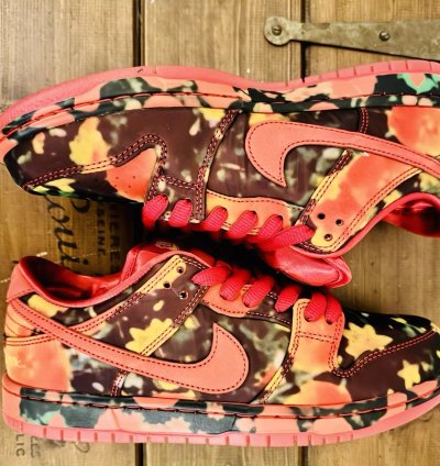 Nike Sb X The Wizard Of Oz Dunk Low Poppy Field Fz1291-600 Bnib