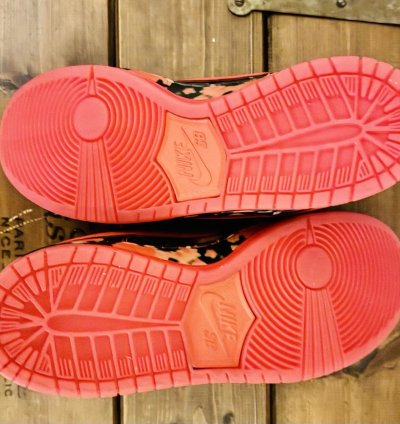 Nike Sb X The Wizard Of Oz Dunk Low Poppy Field Fz1291-600 Bnib