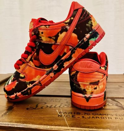 Nike Sb X The Wizard Of Oz Dunk Low Poppy Field Fz1291-600 Bnib