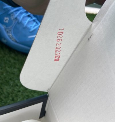 Nike Supreme University Blue Air Zoom Flight 95