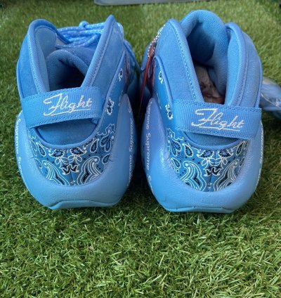 Nike Supreme University Blue Air Zoom Flight 95