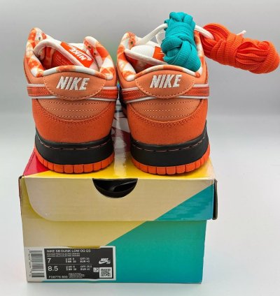 Nike Sb Dunk Low X Concepts orange Lobster Fd8776-800