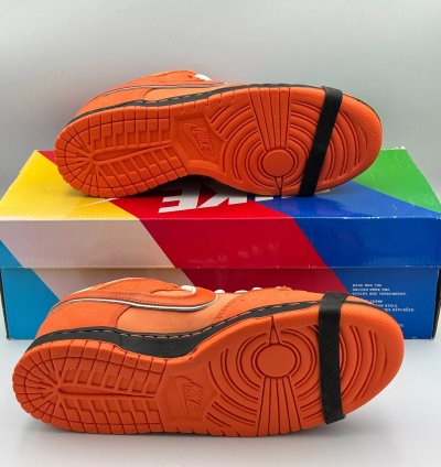 Nike Sb Dunk Low X Concepts orange Lobster Fd8776-800
