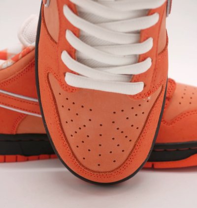 Nike Sb Dunk Orange Lobster