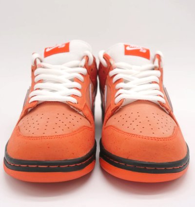 Nike Sb Dunk Orange Lobster