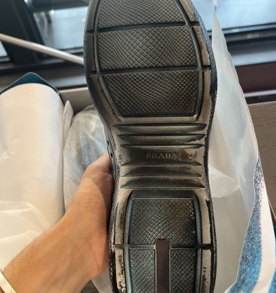 Prada America Cup Hirst Collab