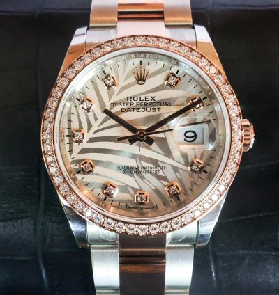 Rolex Datejust 36 Diamond Bezel Palm Motif 126281rbr 2023 Unworn 36mm 18k Rg Diamond Full Set