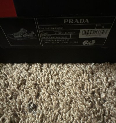 Prada America Cups 8uk 9us