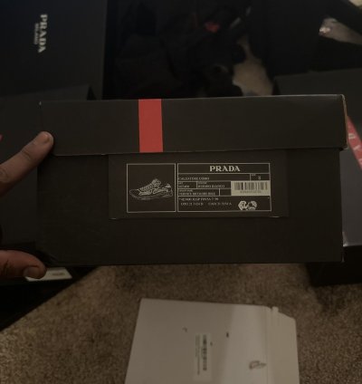 Prada America Cups 8uk 9us